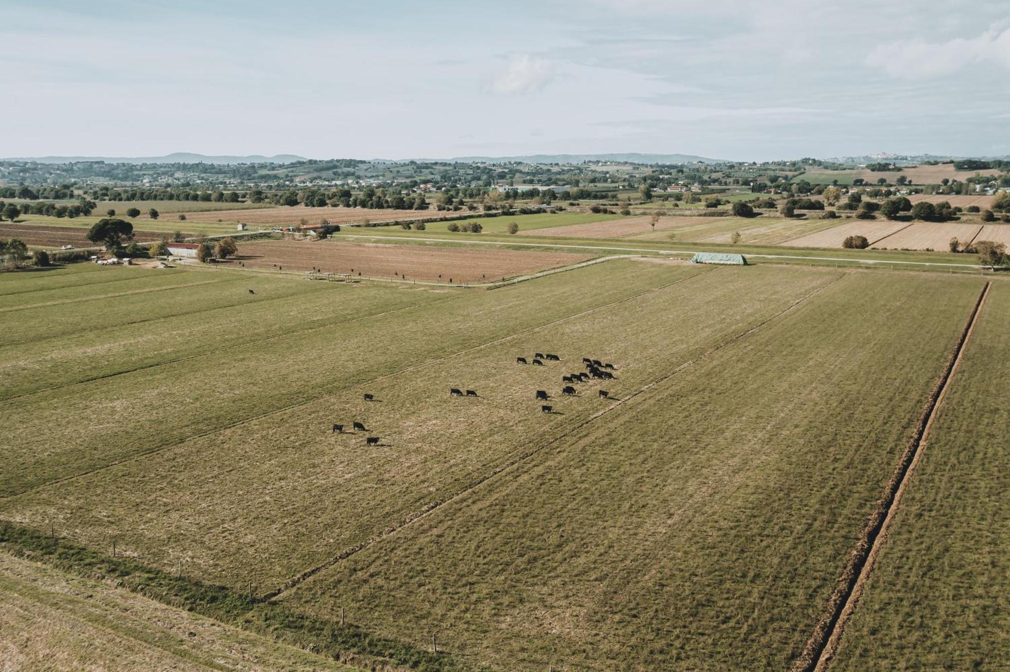 Podere Il Belvedere Su Cortona Кастільон-Фйорентіно Екстер'єр фото